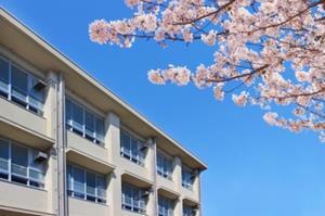 写真：学校の校舎と桜