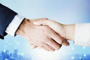 写真：握手する手