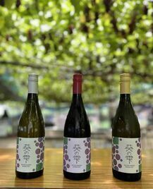 写真：純岡崎産ワイン「葵の雫」