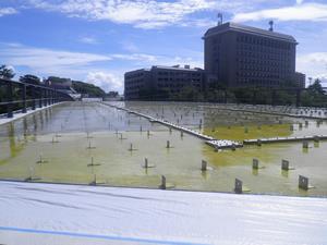 写真：防水工施工8月6日の状況2