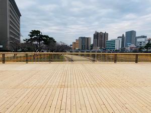 写真：養生シート撤去2月25日の状況4