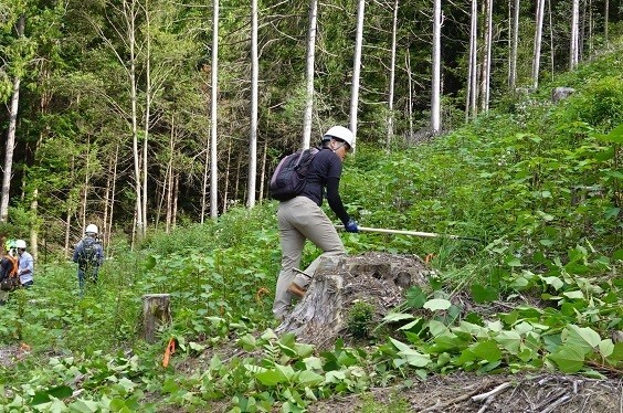 写真：令和6年9月14日　下草刈り
