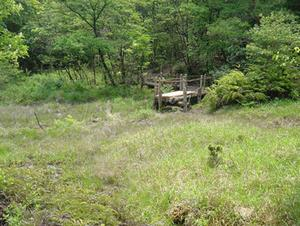 写真：北山湿地