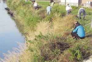 写真：鹿乗川を美しくする会の活動2