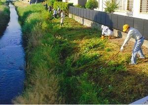 写真：鹿乗川を美しくする会の活動3