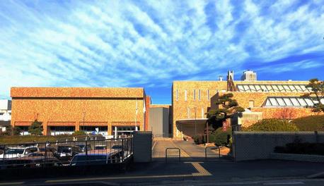 写真：岡崎市美術館