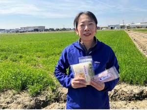 写真：六ツ美ライスセンター高木さん