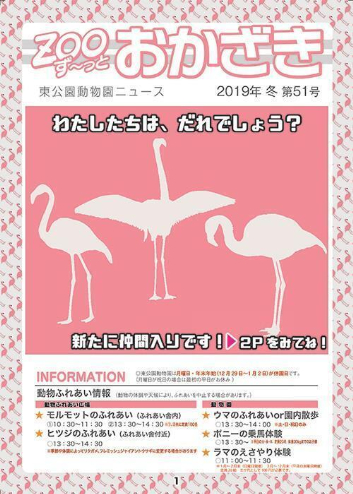 写真：ずーっとおかざき51号表紙