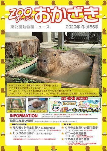 写真：ずーっとおかざき55号表紙