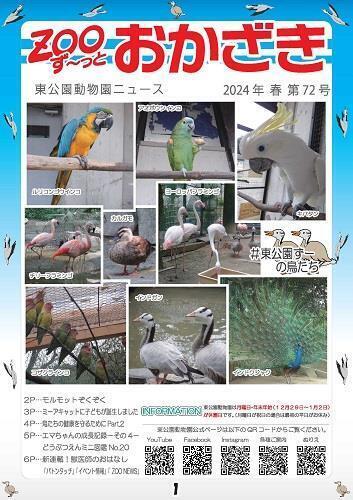 写真：ずーっとおかざき72号表紙