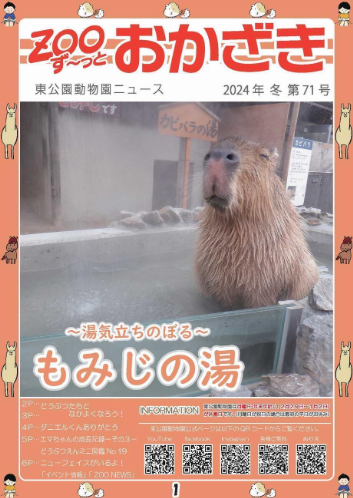 写真：ずーっとおかざき71号表紙