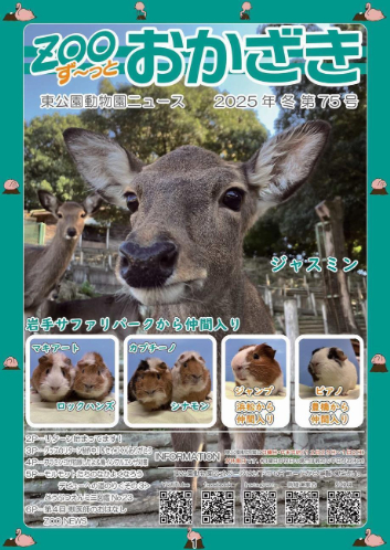 写真：ずーっとおかざき75号表紙