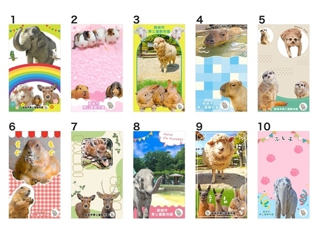 写真：動物園プリントシール