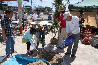 写真：大きなエゴノキの植樹