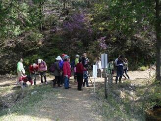 写真：やながさわ池付近