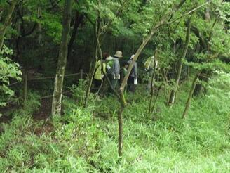 写真：夏の北山湿地