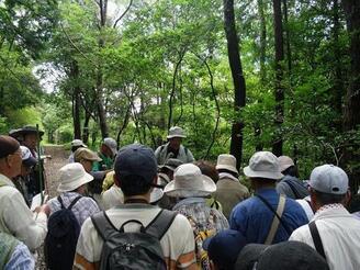 写真：夏の北山
