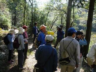 写真：やながさわ池付近