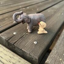 写真：ふじことザウペロ1