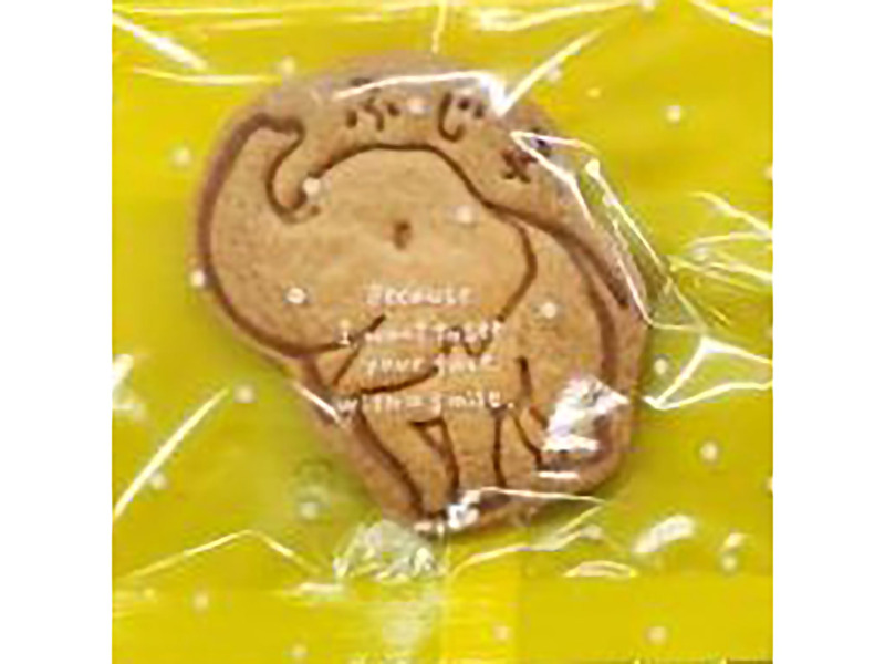 クッキーの見本2