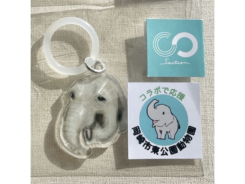 傘マーカーの画像1