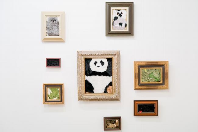 写真：植松ゆりか氏の作品