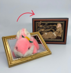 写真：作品《soft toys》　完成イメージ1