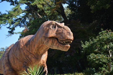 写真：ティラノサウルス2