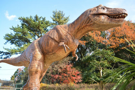 写真：ティラノサウルス3