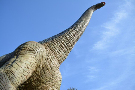 写真：ブラキオサウルス2