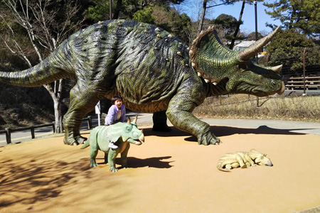 写真：トリケラトプス2