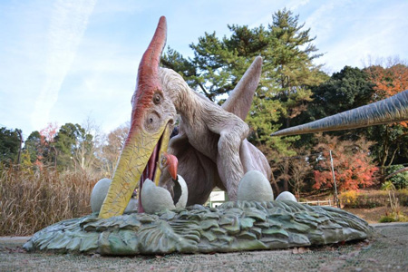写真：プテラノドン2