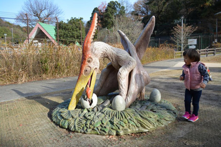 写真：プテラノドン4