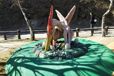 写真：プテラノドン5