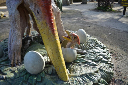 写真：プテラノドン6