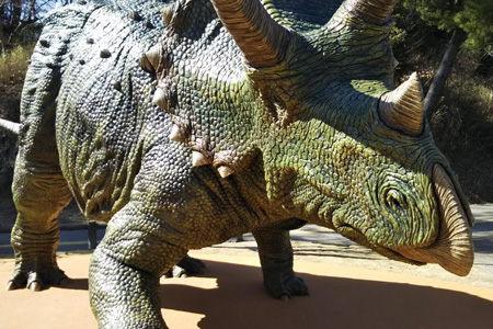 写真：トリケラトプス4