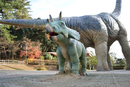 写真：トリケラトプス5