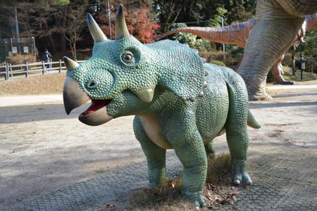 写真：トリケラトプス6