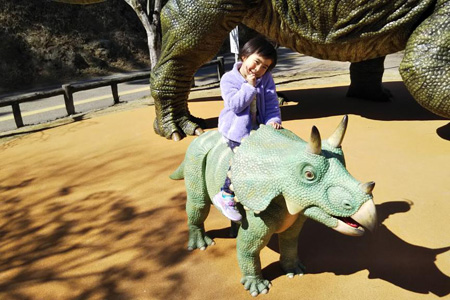 写真：トリケラトプス7