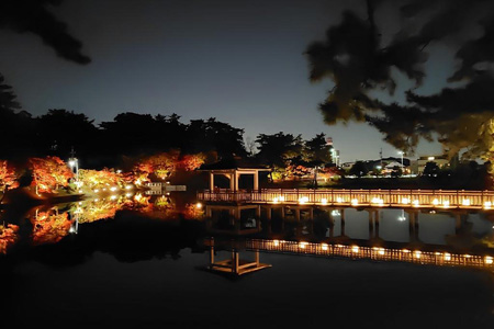 写真：ライトアップ01