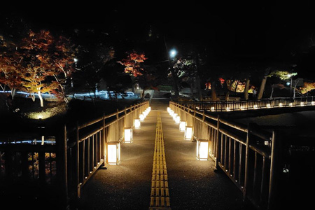 写真：ライトアップ03