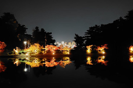 写真：ライトアップ05