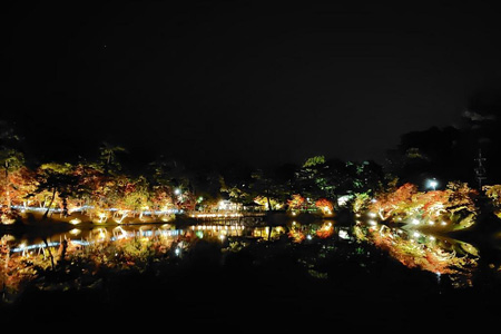 写真：ライトアップ06