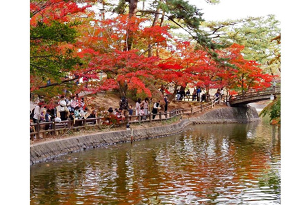 写真：東公園紅葉まつり4