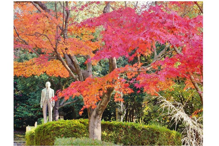 写真：東公園紅葉まつり6