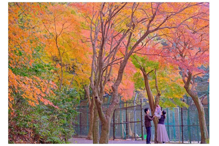 写真：東公園紅葉まつり7