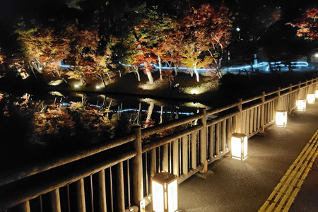 写真：東公園紅葉まつり9