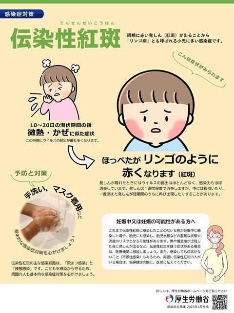 写真：伝染性紅斑チラシ