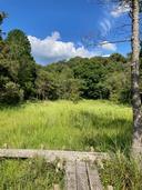 写真：小呂湿地