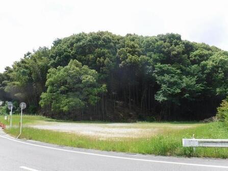 写真：岩津城跡の風景